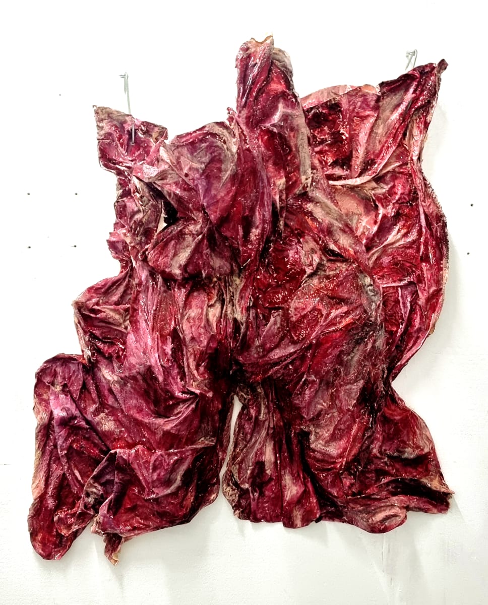 Reduced to Clear (2026) Sculpture moulded from linen, plaster, acrylic and silicone