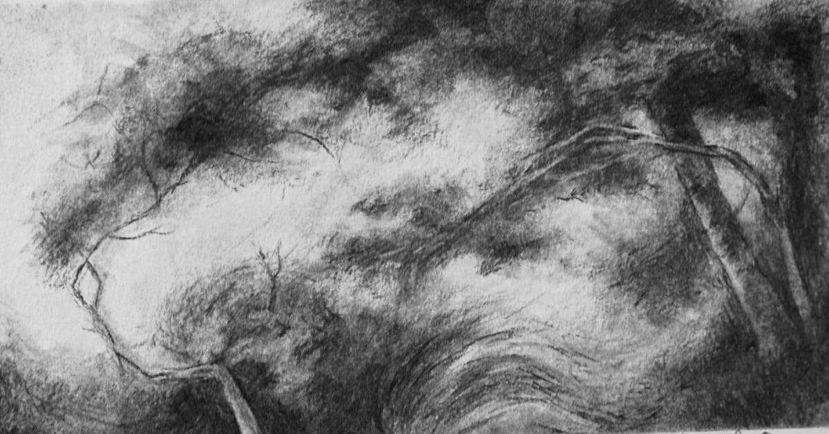 Viridis (study I) by Alexandra Oliver - Charcoal on paper