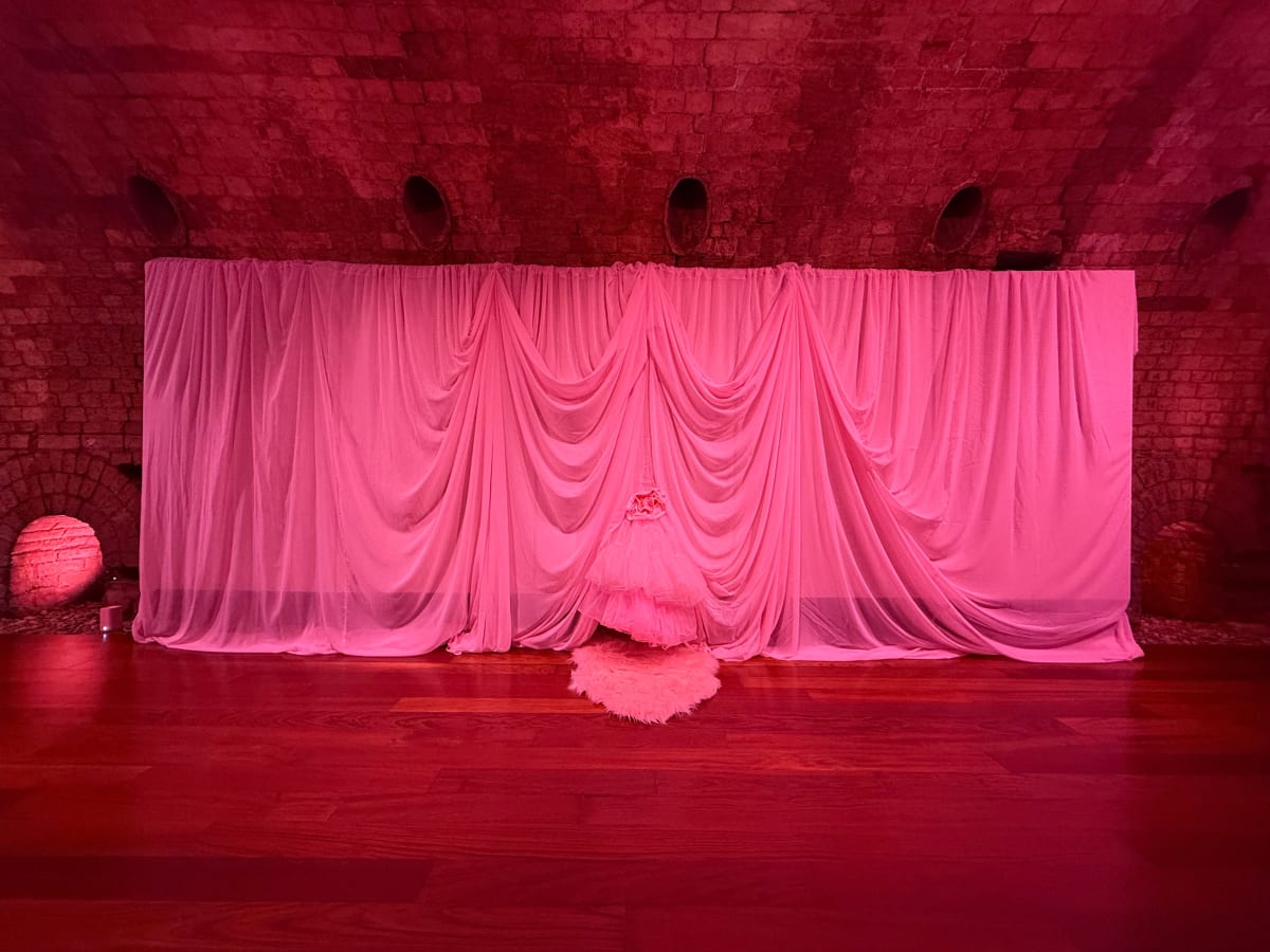 'Taking Care' 2026. Tulle & Organza Installation