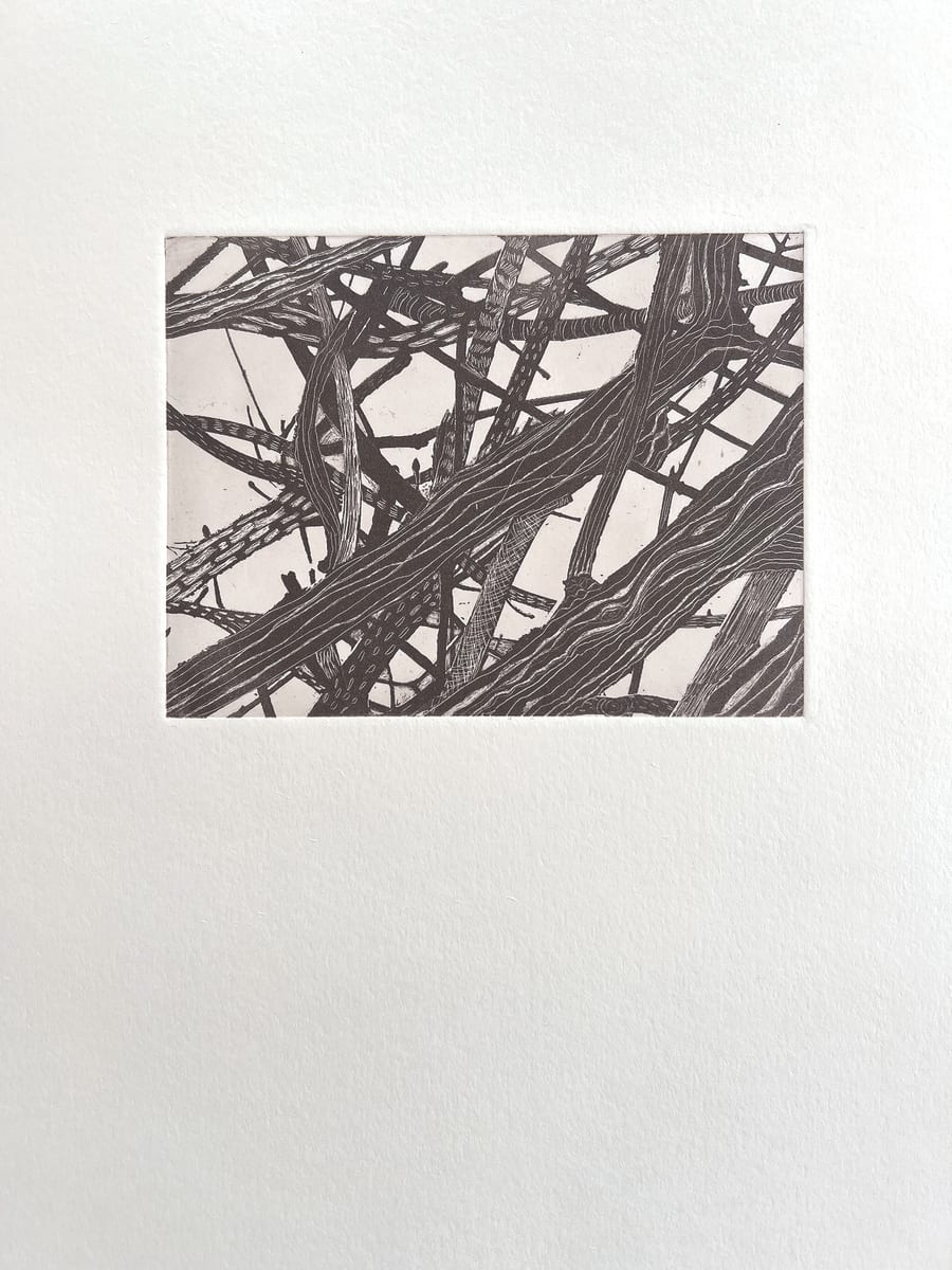 Boundary by Adria Meserve - Solar plate print