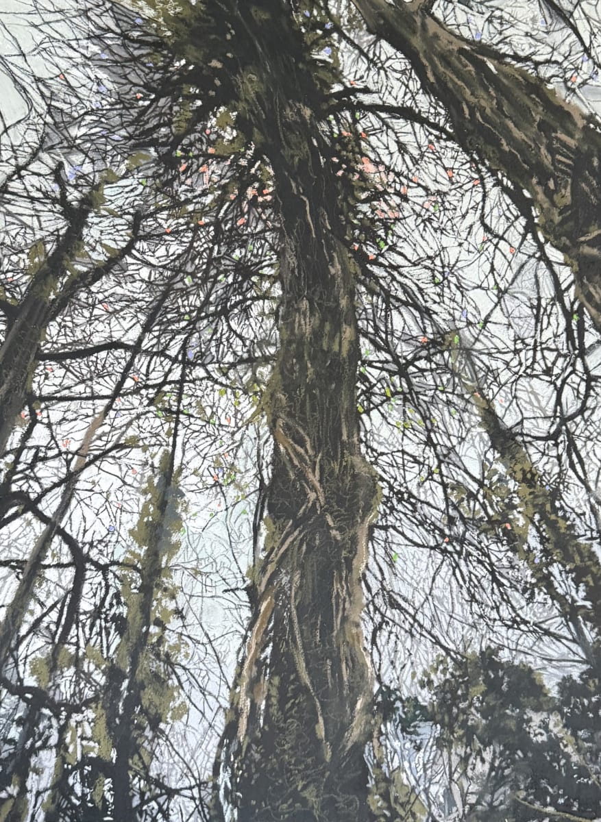 Fingle trees A pastel drawing of the trees in Fulbourn meadow.  