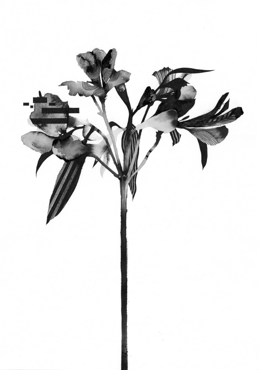 Flowers - mixed media artwork by Simon Brooke