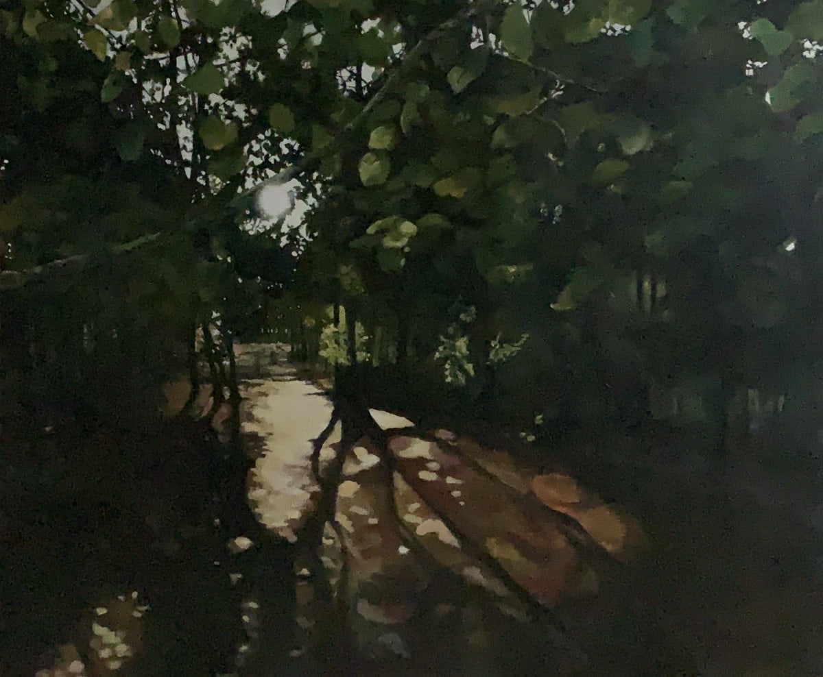 Acrylic forest