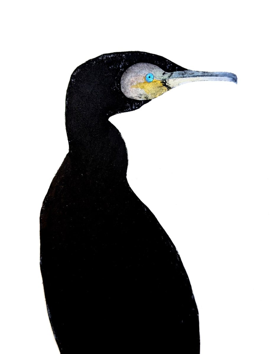 Detail of a black cormorant with a metallic blue eye