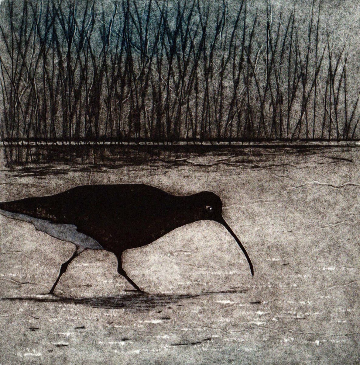 Curlew in the Creek - Tetrapak print showing a Curlew probing for food in the mud