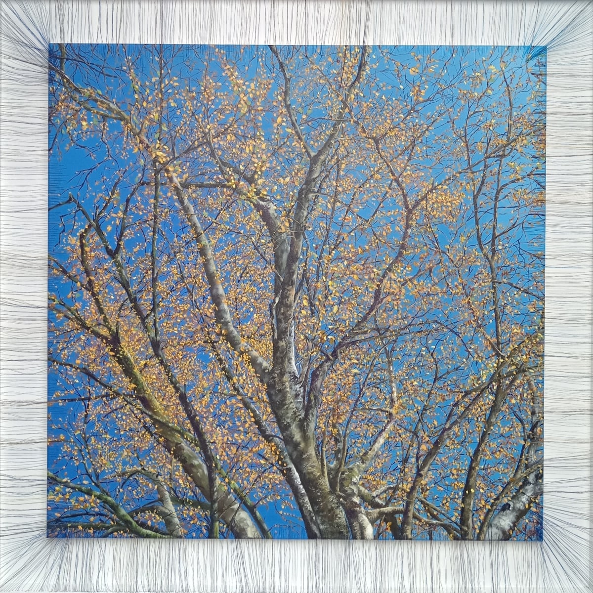 Take a Deep Breath by Louise Dougherty