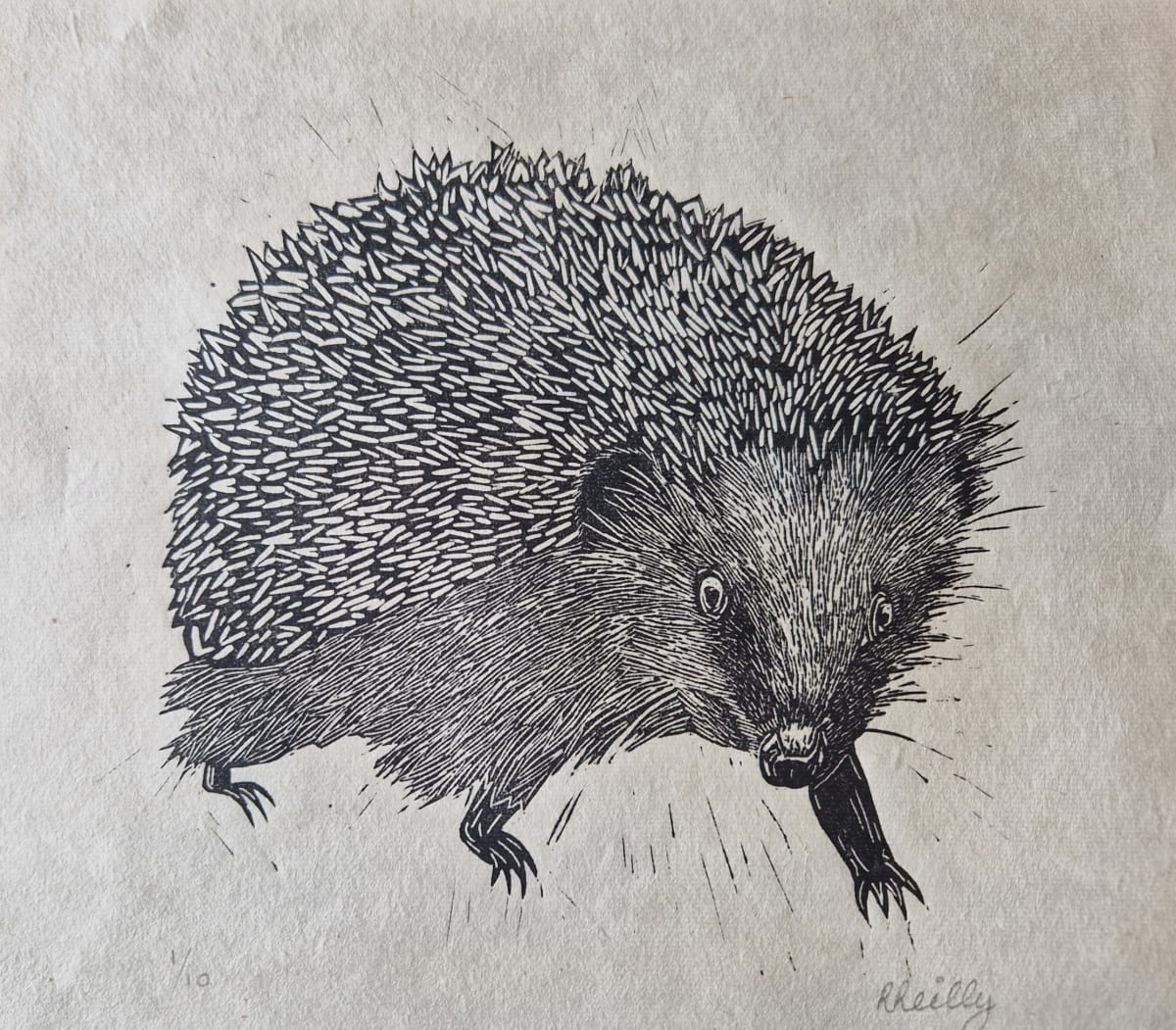 'Mr Prickles' - Monochrome hedgehog lino print