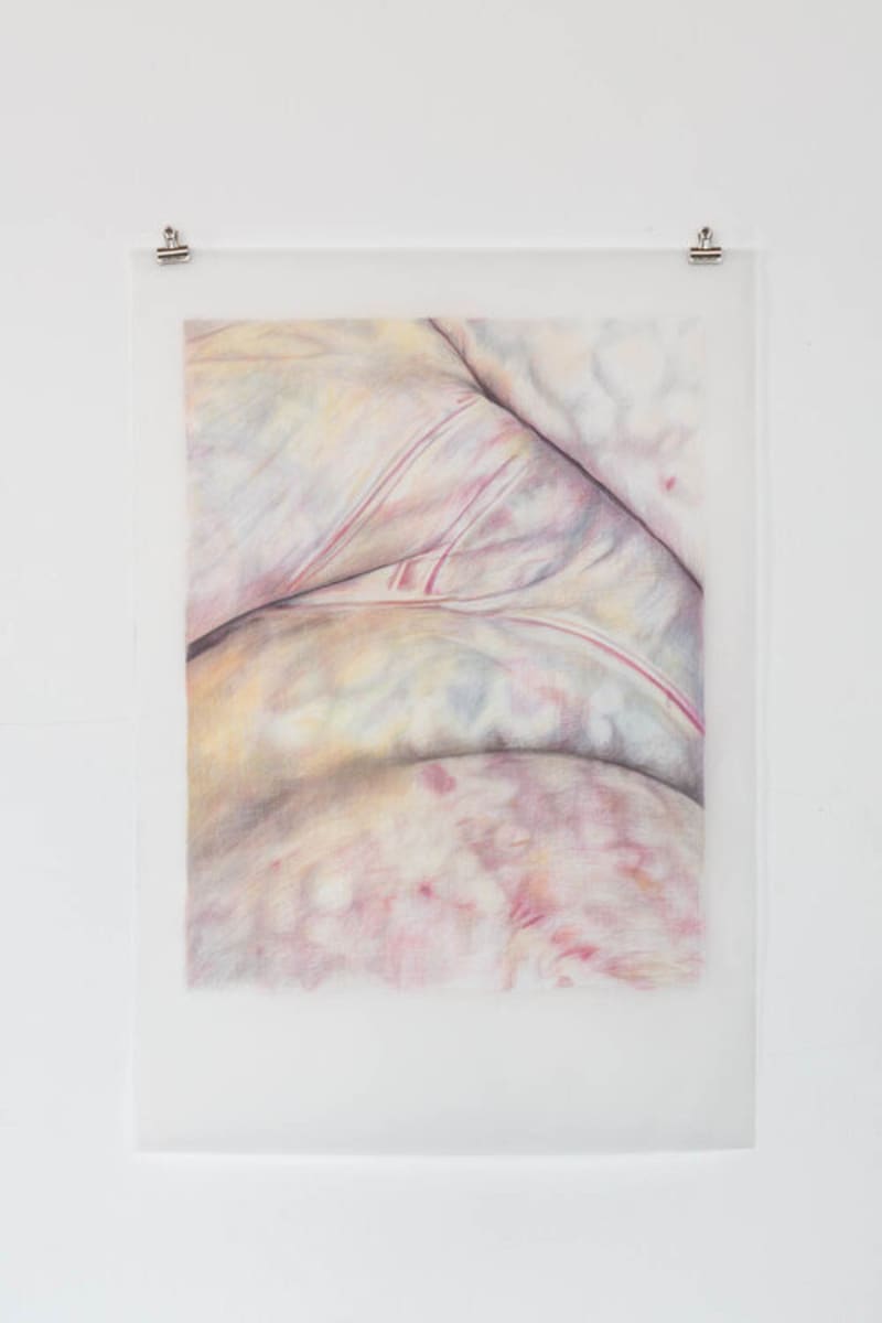 'Redaction: Vol.2' 2020. Aquarelle on tracing paper