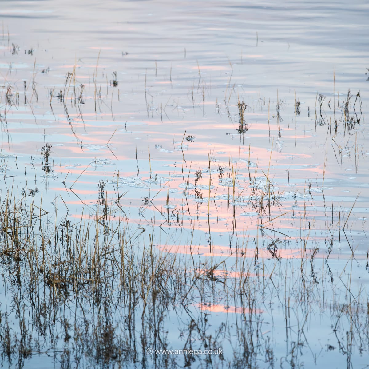 High Tide at Dusk