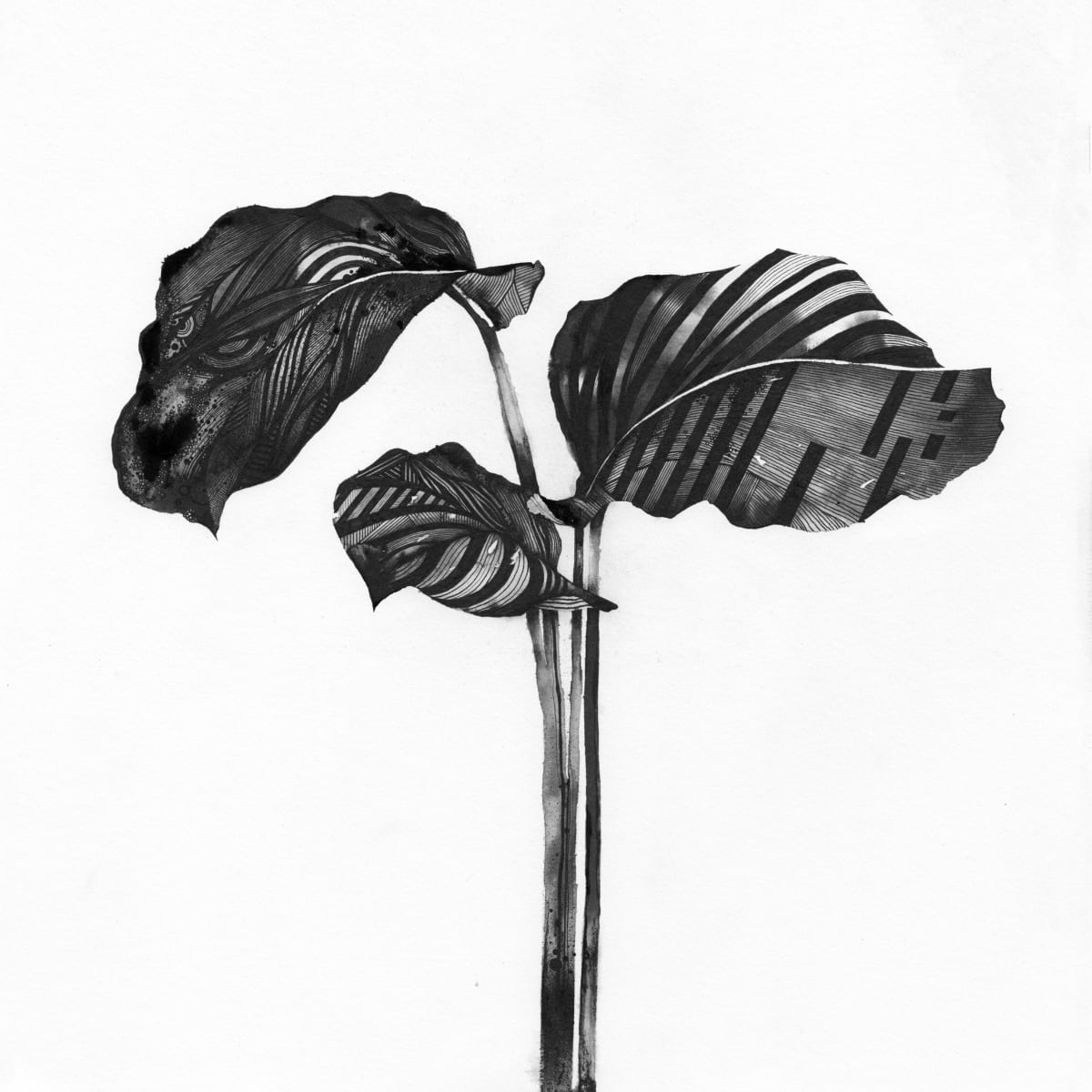 Plant - mixed media artwork by Simon Brooke