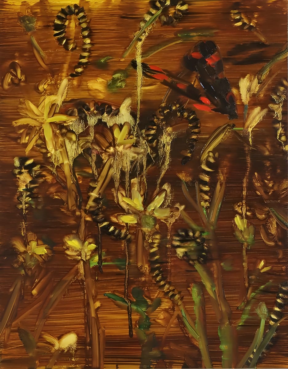 Ragwort, Cinnabar moth and caterpillars by Barbara Howey - Oil on board