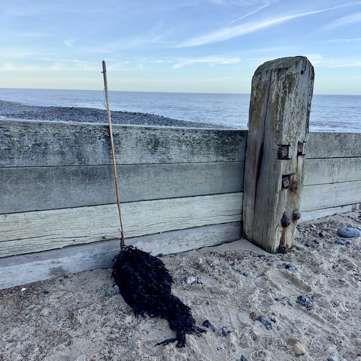Overwhelm by Jane Scobie - Seaweed, reed and mussels