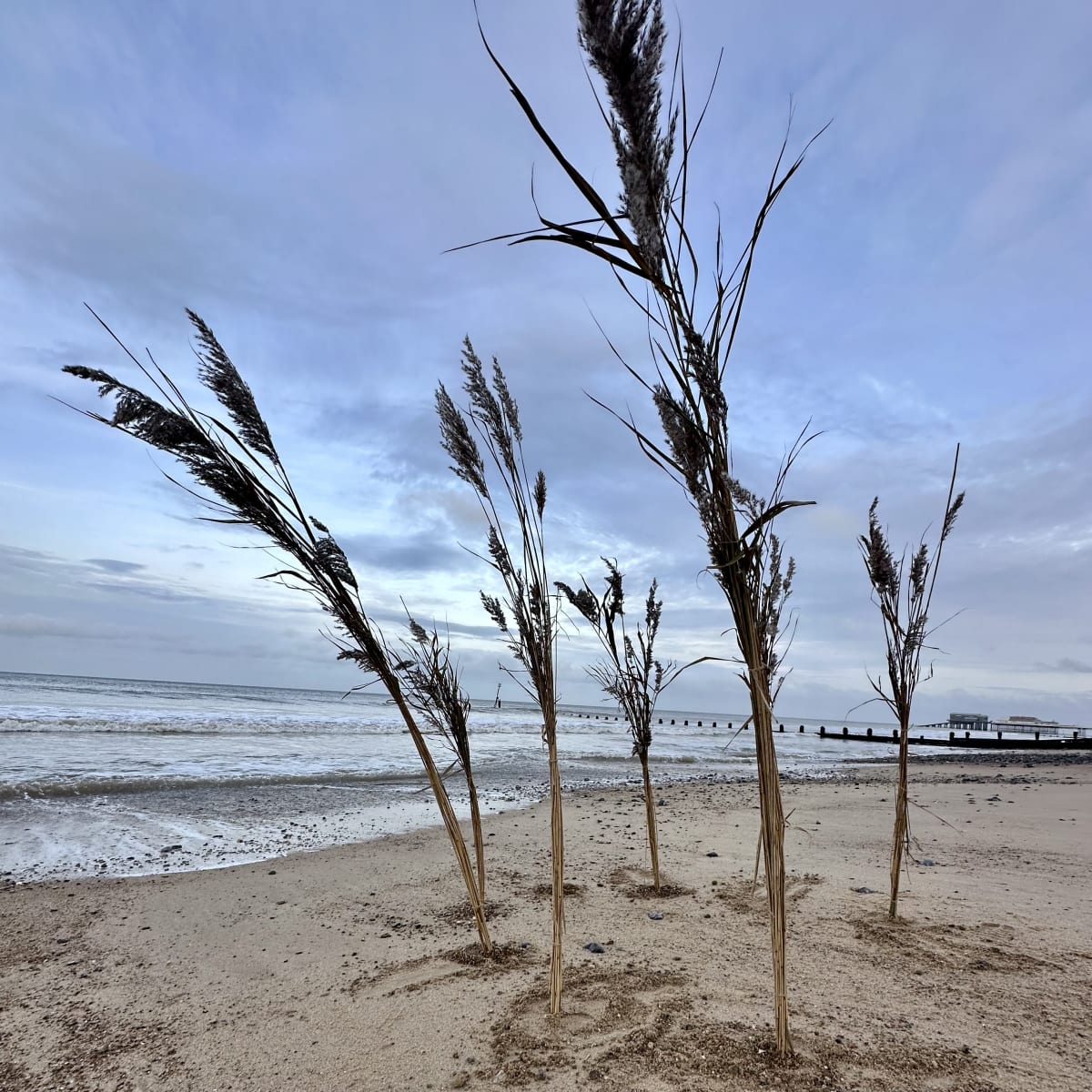Precarious by Jane Scobie - Sculpture