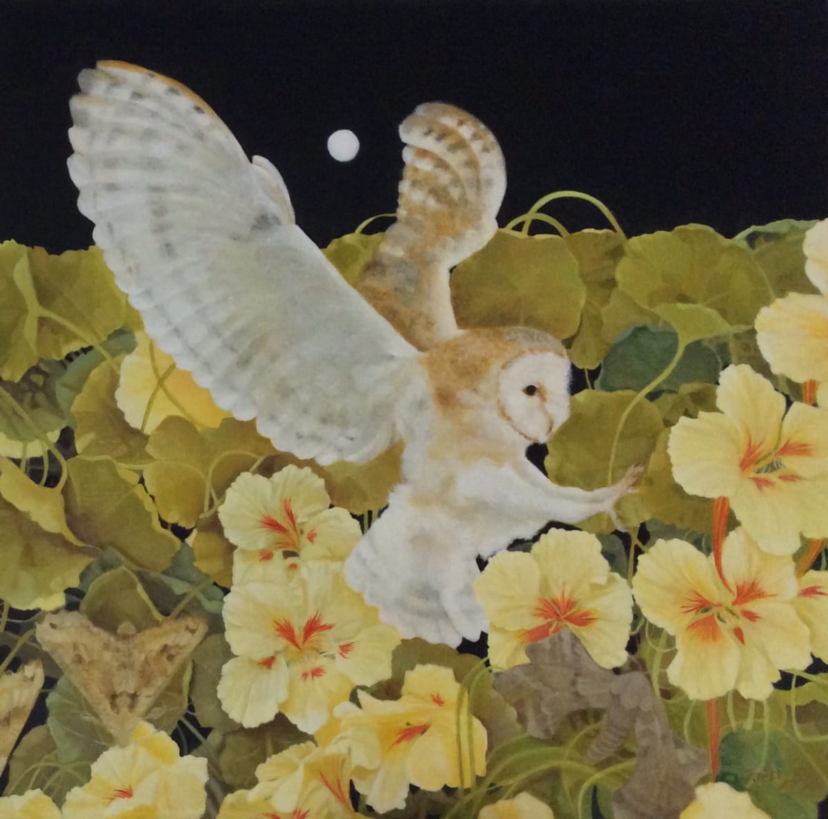 A Night Visitor by Janet Treby