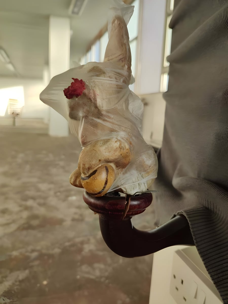 Dog ornament, disposable glove, school jumper, lipstick and pub light fitting assemblage by Jay Potrykus