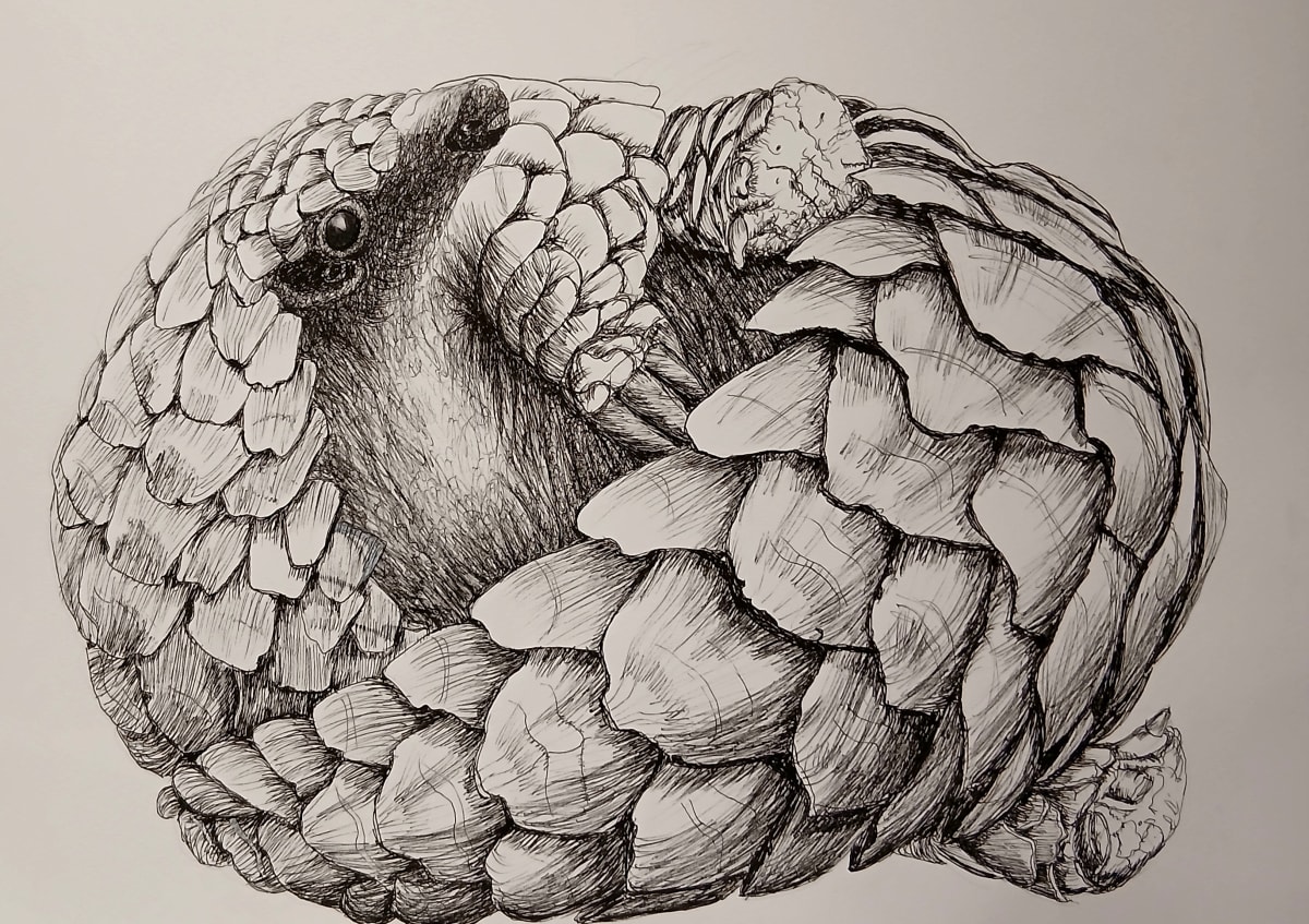 Fine liner pen drawing by Lindsey Way