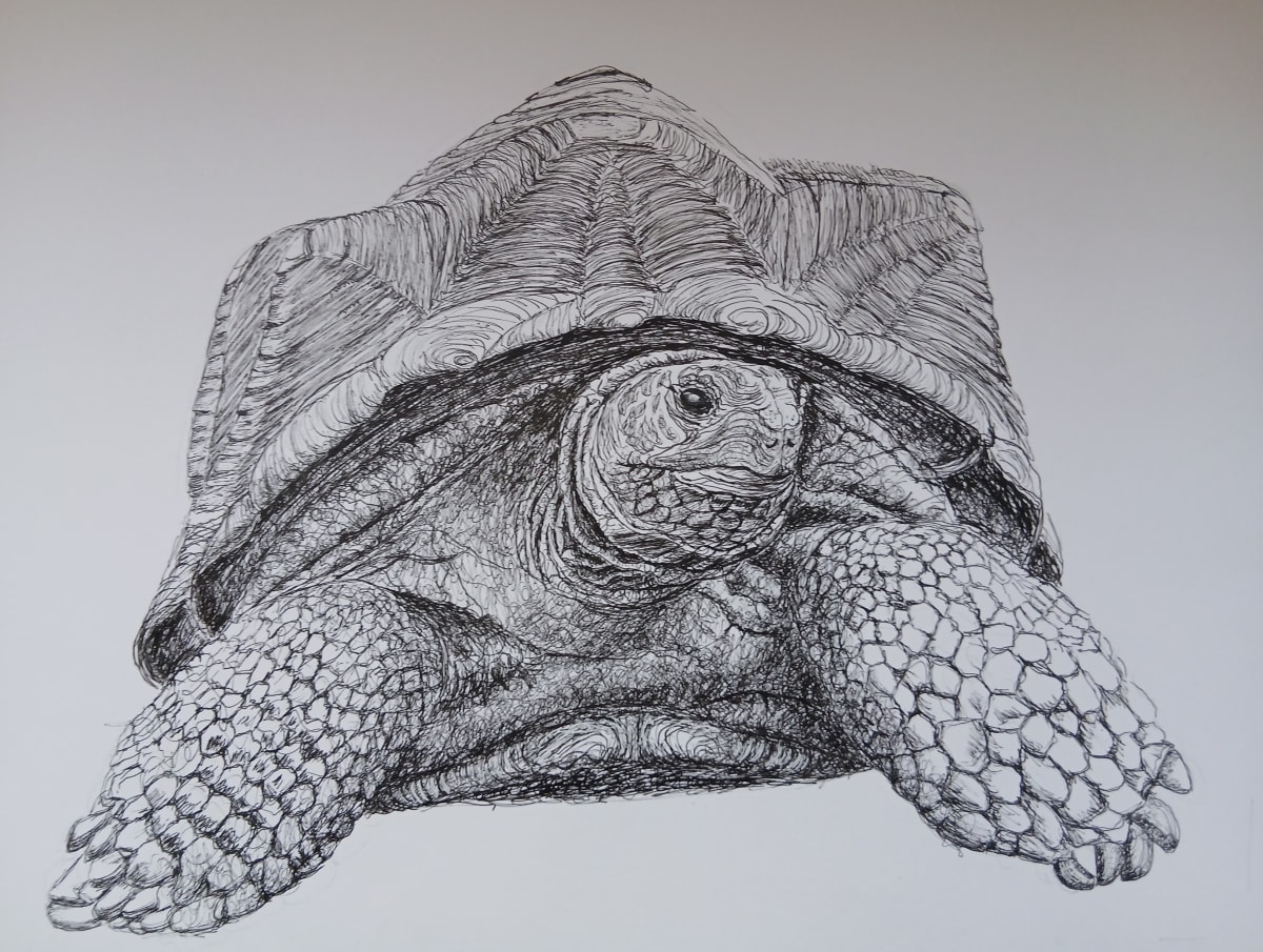 Fine liner pen drawing by Lindsey Way