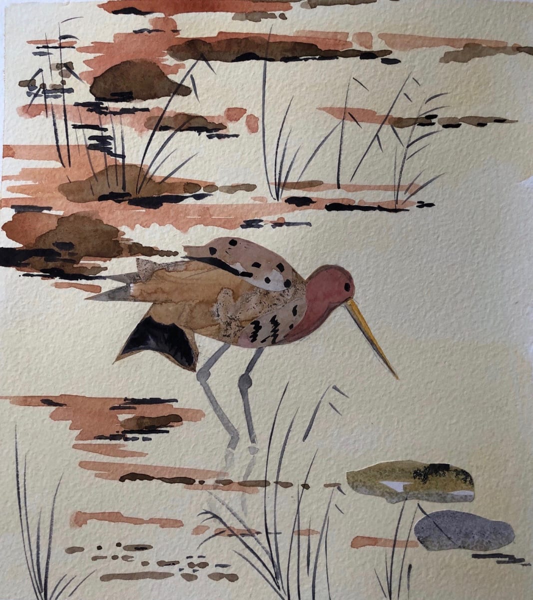 Bar tailed godwit by Moira Fraser Steele - Collage