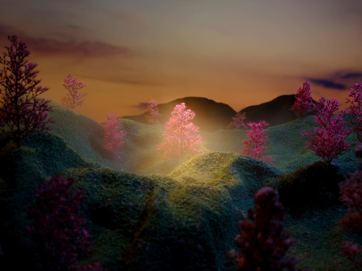 From the Ephemeral Bloom series, Christian Jago