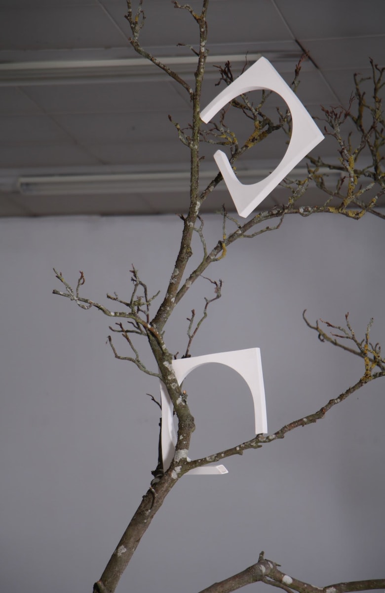 Transcendent — Lu Yu
