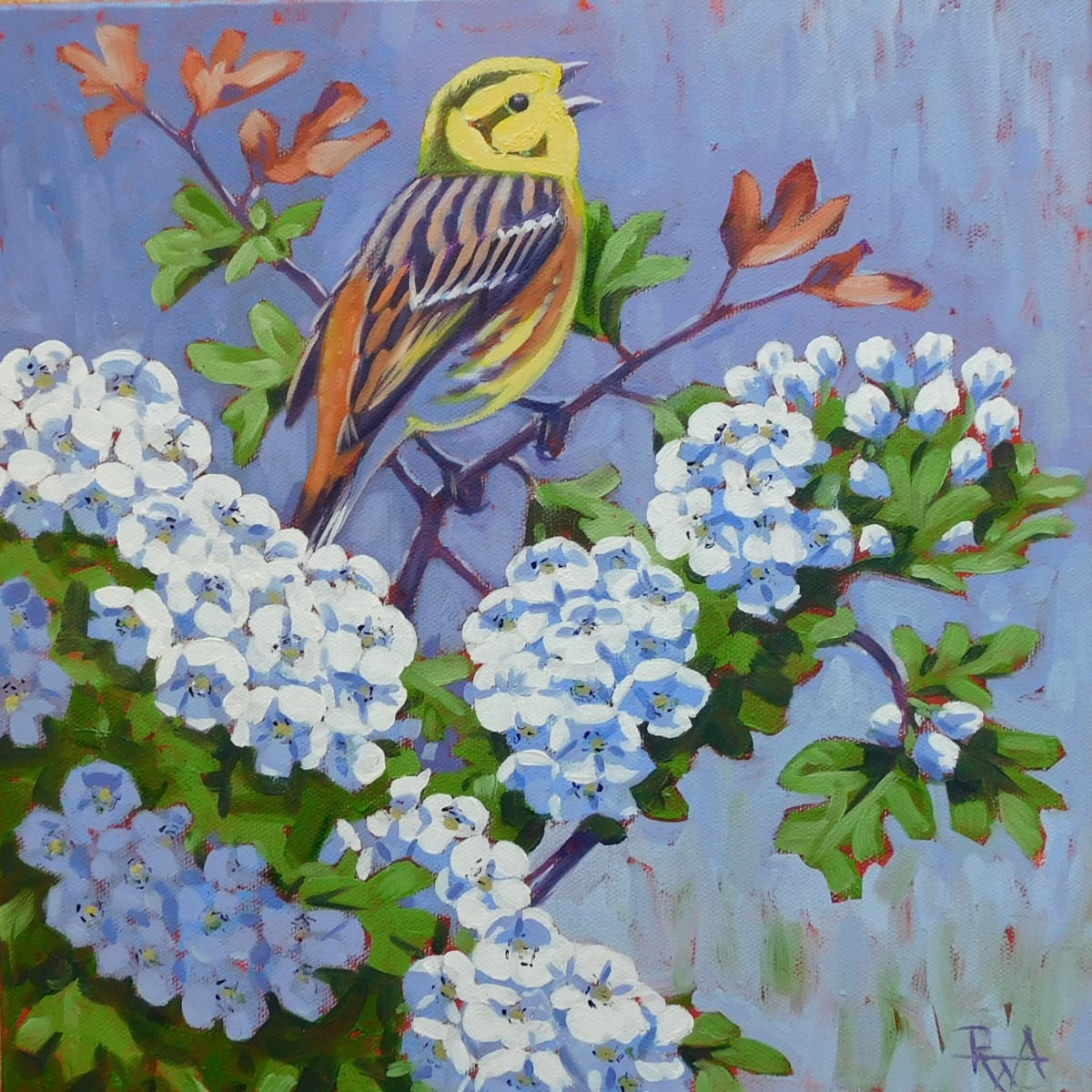 Yellowhammer & May blossom by Richard Allen - Oil