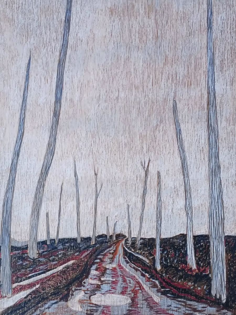 Graphite and coloured pencil on wood drawing by Roger Steele