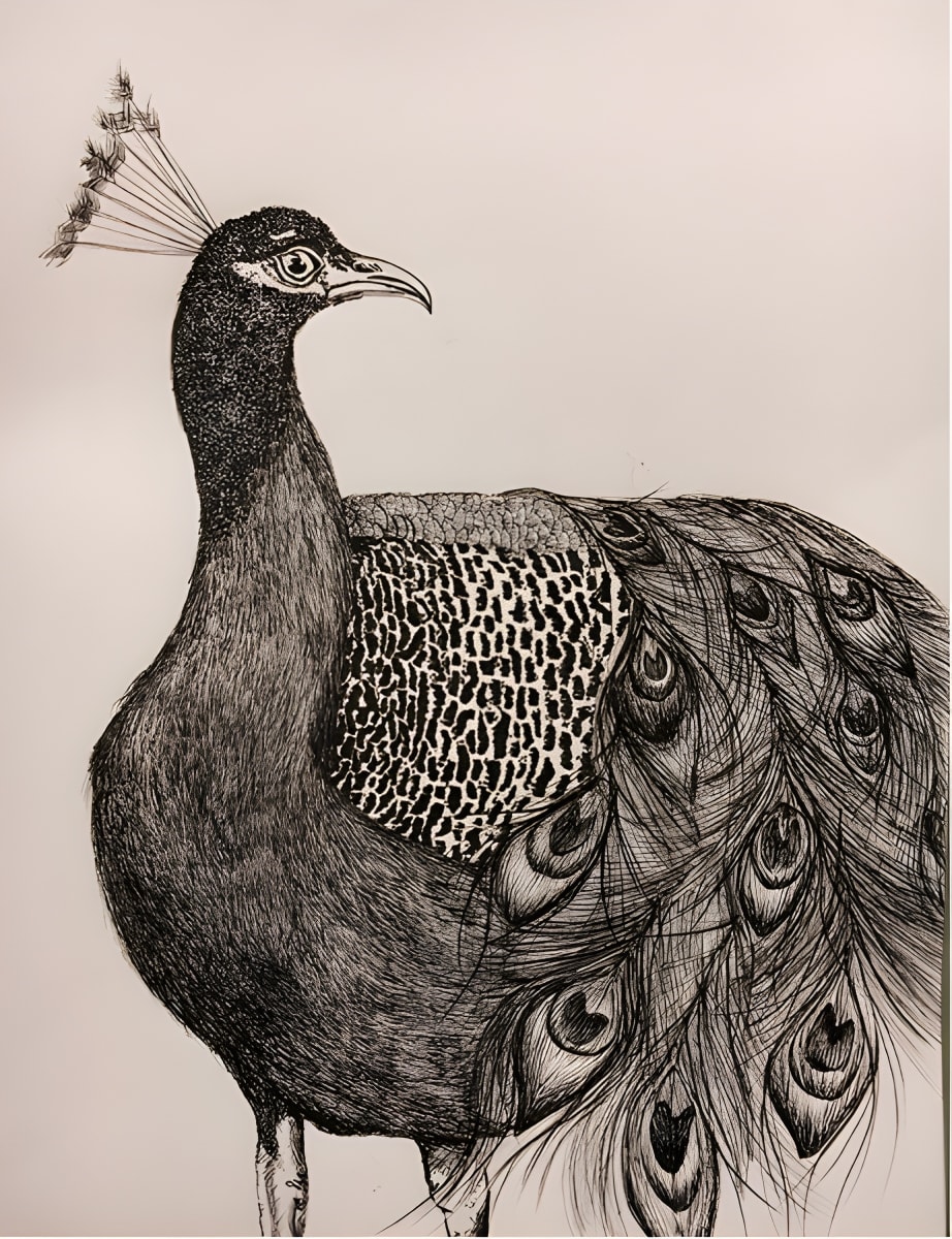 Drawing by Sophie Burkett