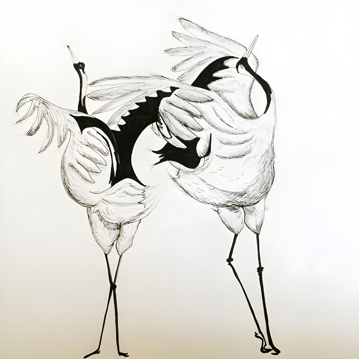 Drawing by Sophie Burkett
