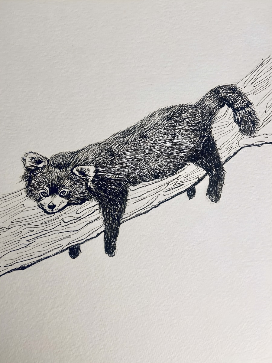 Drawing by Sophie Burkett