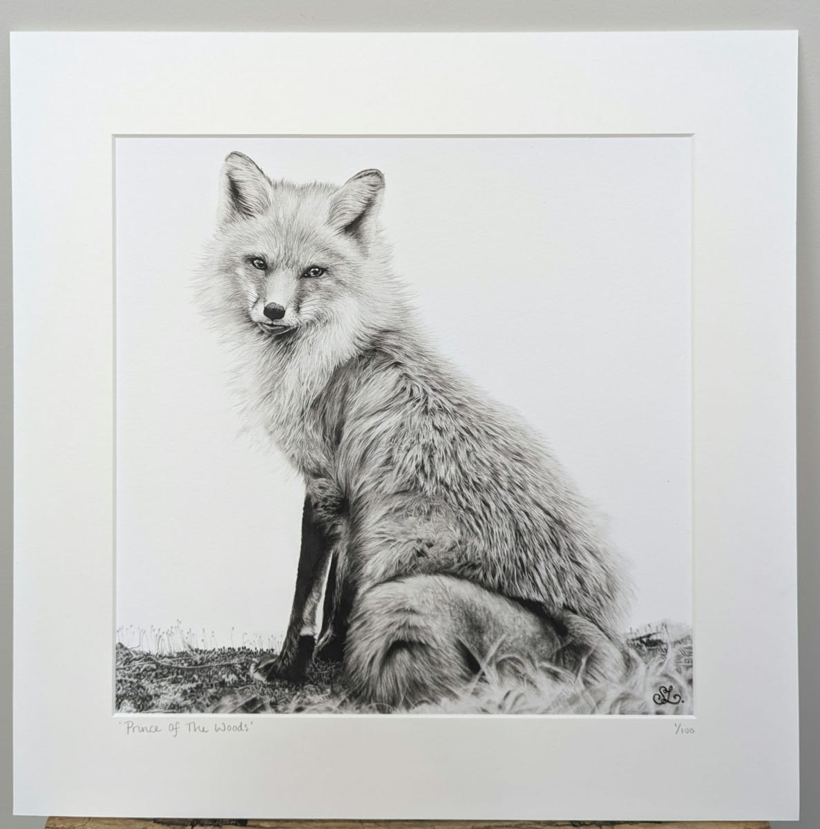 Prince of the Woods by Stephanie Lacey - Pen and ink with pastel