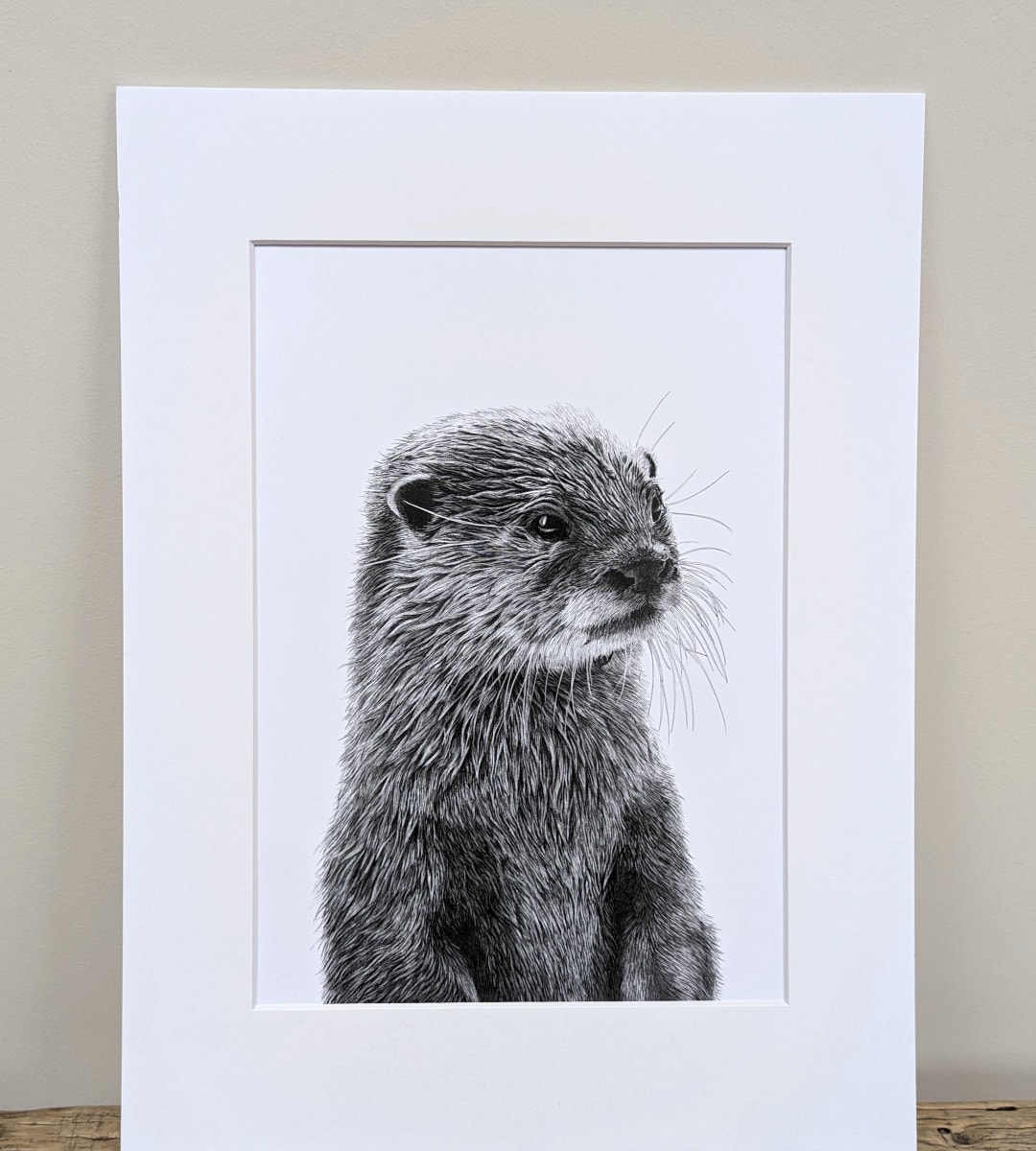 Curious Otter by Stephanie Lacey - Pen and ink with pastel