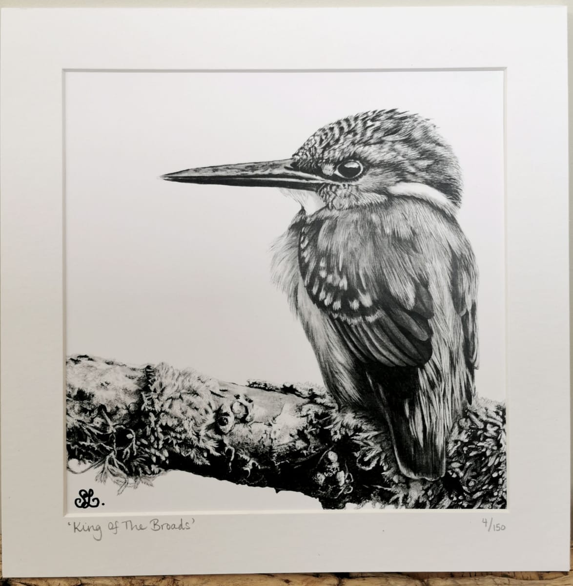 King of the Broads by Stephanie Lacey - Pen and ink with pastel