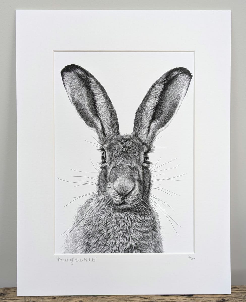 Prince of the Fields by Stephanie Lacey - Pen and ink with pastel