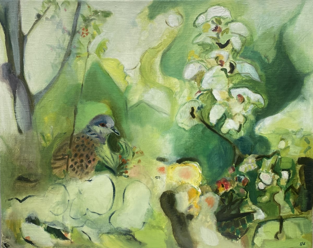 Turtle dove by Susan Weaver - Oil on canvas