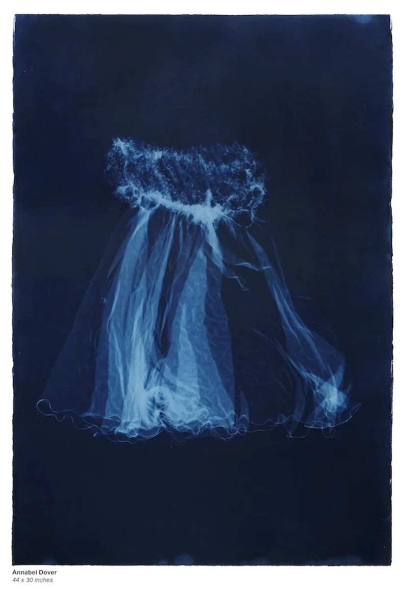 Cyanotype by Annabel Dover