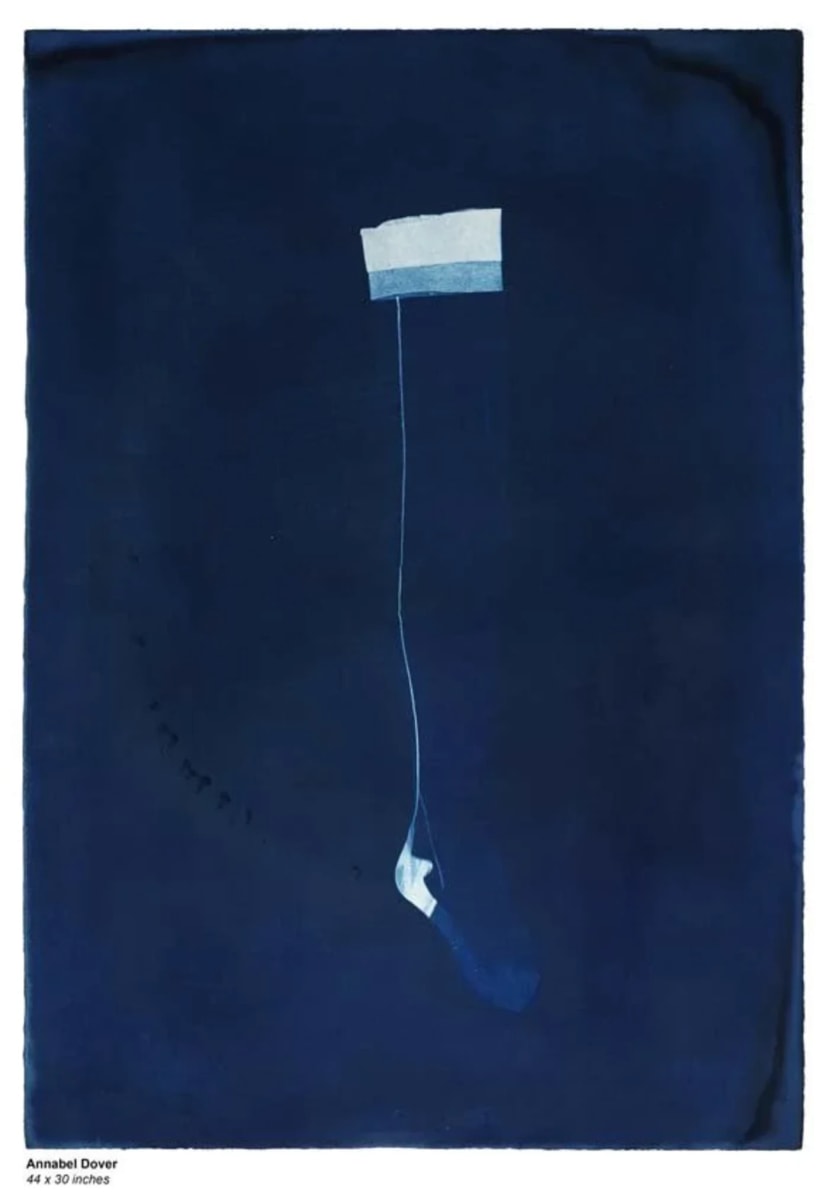 Cyanotype by Annabel Dover