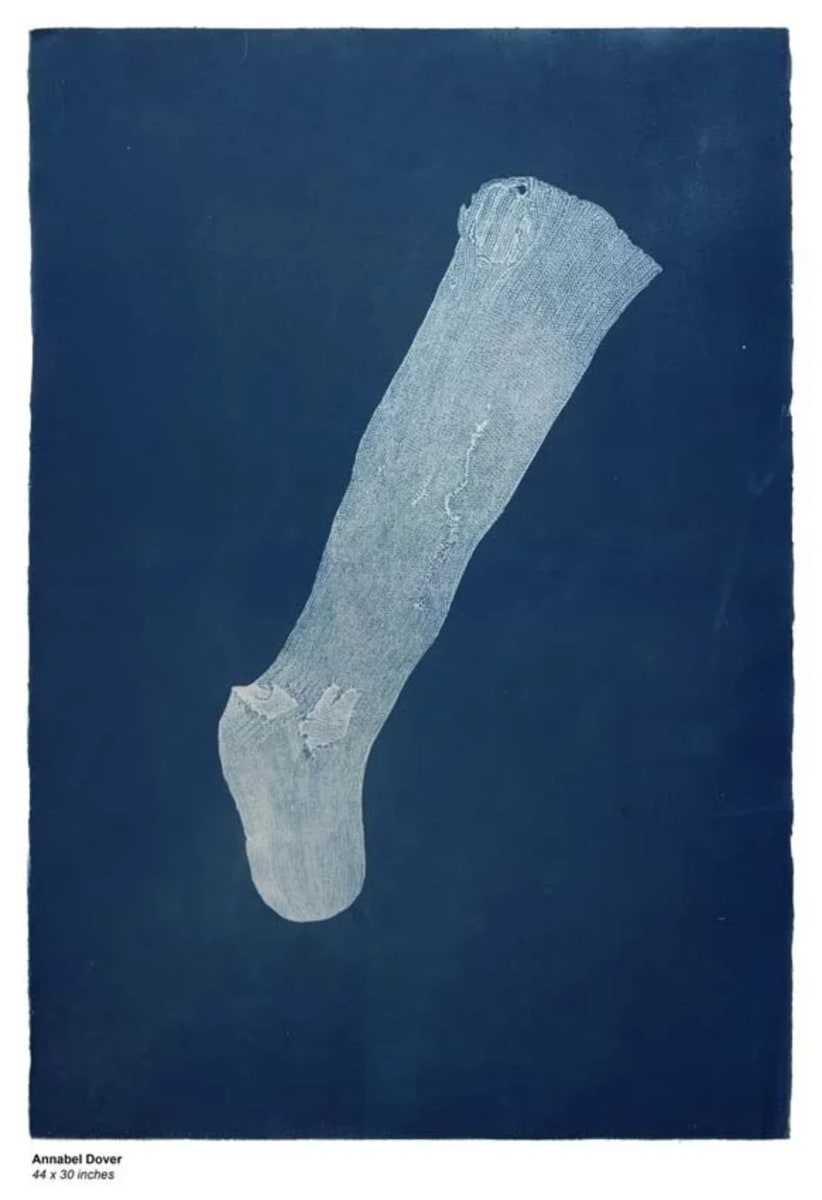 Cyanotype by Annabel Dover