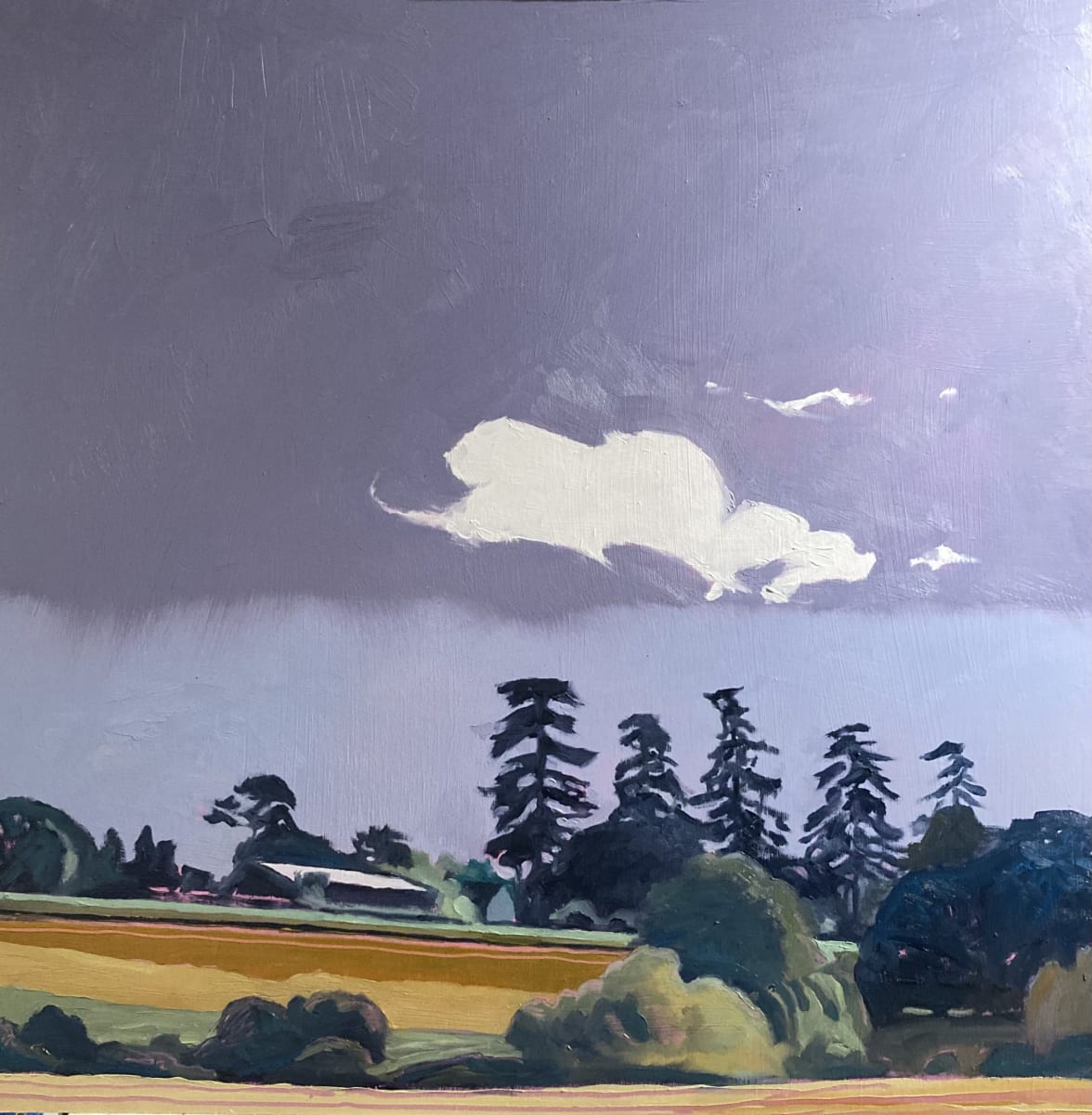 Hagmore Green cloud by Elizabeth De Alwis - Oil on board