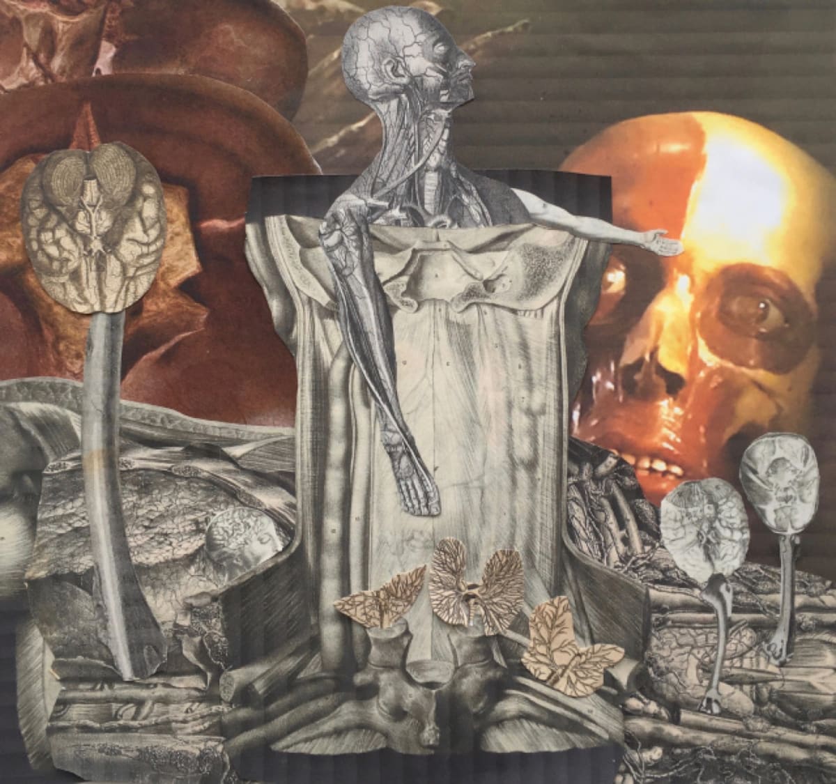 Evolution by Helen Breach - Collage