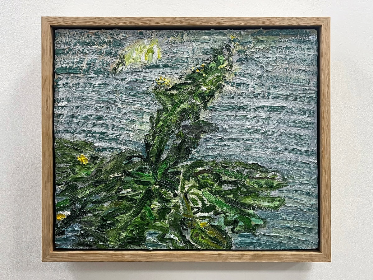 Dandelion and Concrete III by Jevan Watkins Jones - Oil on plywood