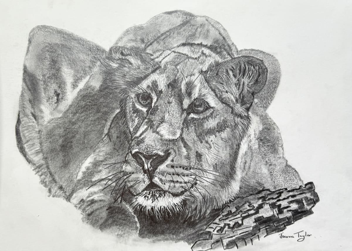Pastel drawing by Joanna Taylor