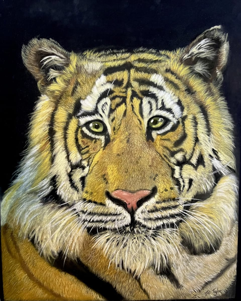 Pastel drawing by Joanna Taylor