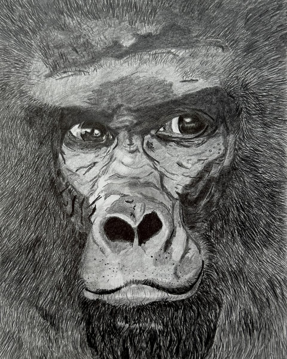 Pastel drawing by Joanna Taylor