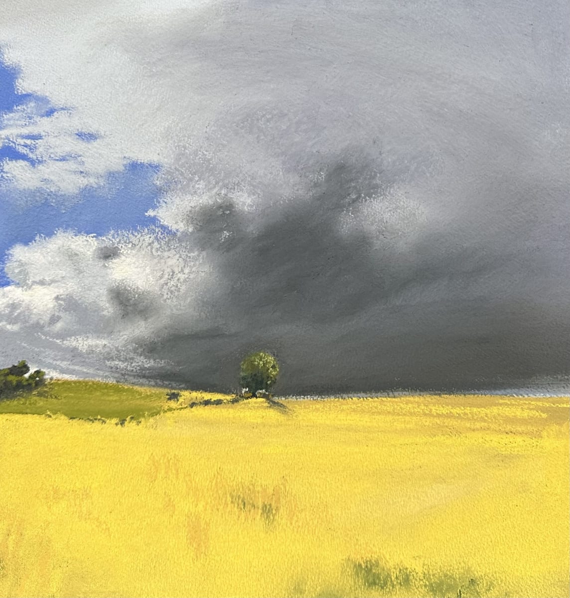 Eversden summer by Katy Bailey - Pastel