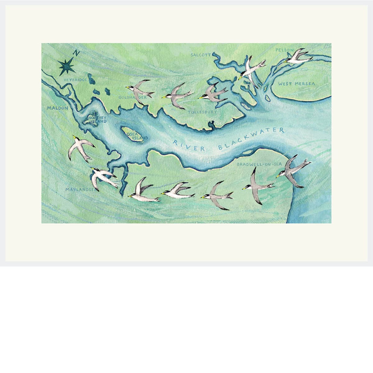 Little Terns on the Blackwater by Leafy Dumas - gouache and colour pencil illustration