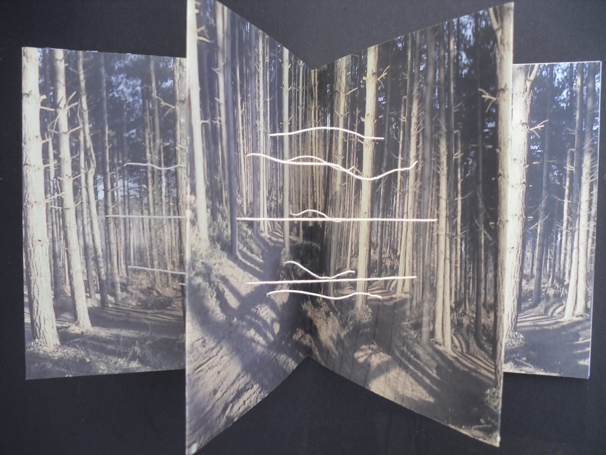 Book art by Les Bicknell