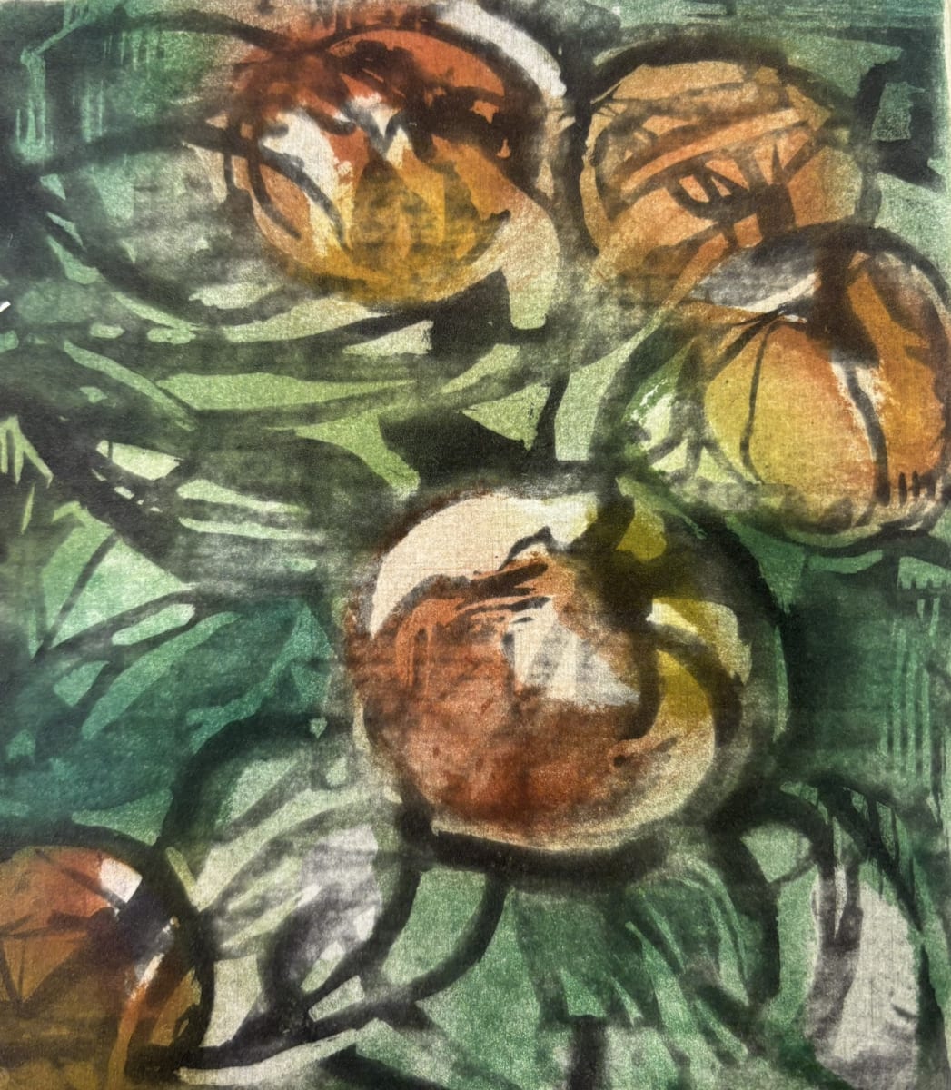Apples by Naomi Pilling - Sugar lift etching and aquatint