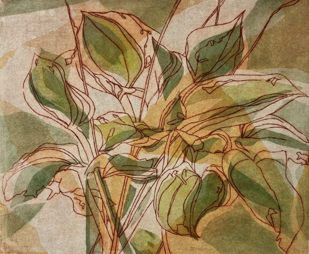 Hostas by Naomi Pilling - Etching and aquatint