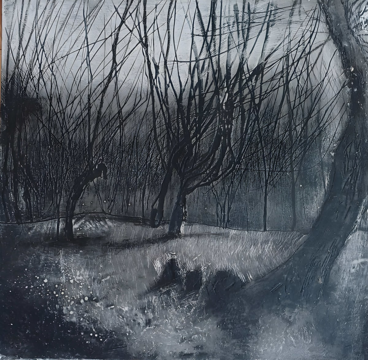 Winter Woods by Tessa Frampton - Painting