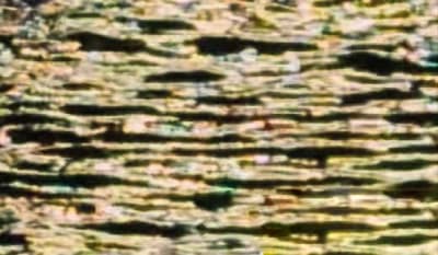 Cross Currents